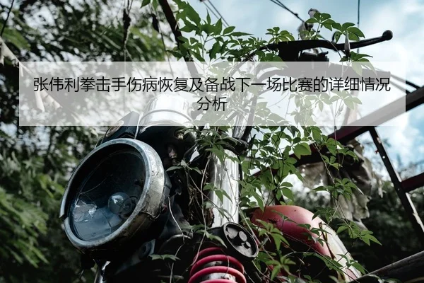 张伟利拳击手伤病恢复及备战下一场比赛的详细情况分析（JIUYOU SPORTS）